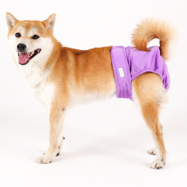 Wegreeco Dog Diapers pannolini cane femmina lavabili 3 pezzi