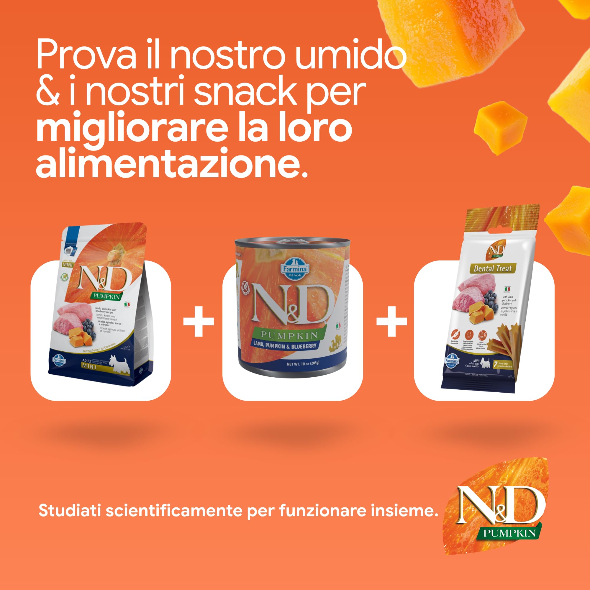 Farmina N&D Pumpkin Agnello Zucca Mirtilli crocchette cane Mini 800g