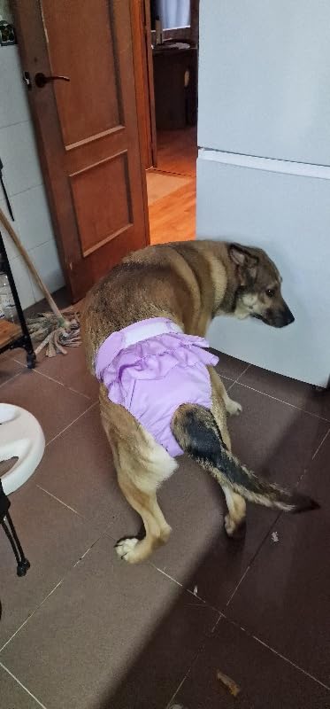 Bepetmia Pannolini lavabili per cani mutandine rosa M 40-50 cm