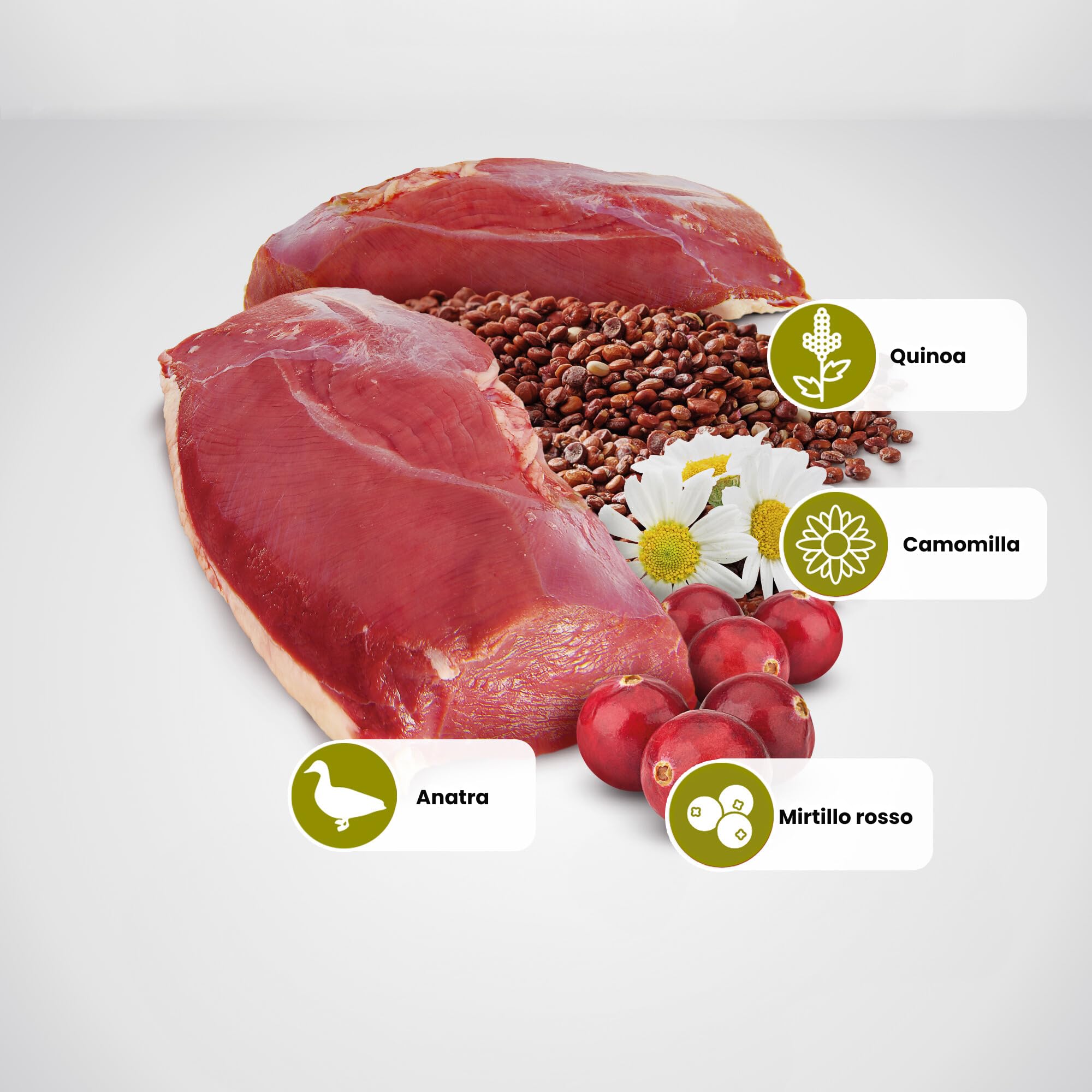 Farmina N&D Quinoa Urinary cibo gatti vie urinarie