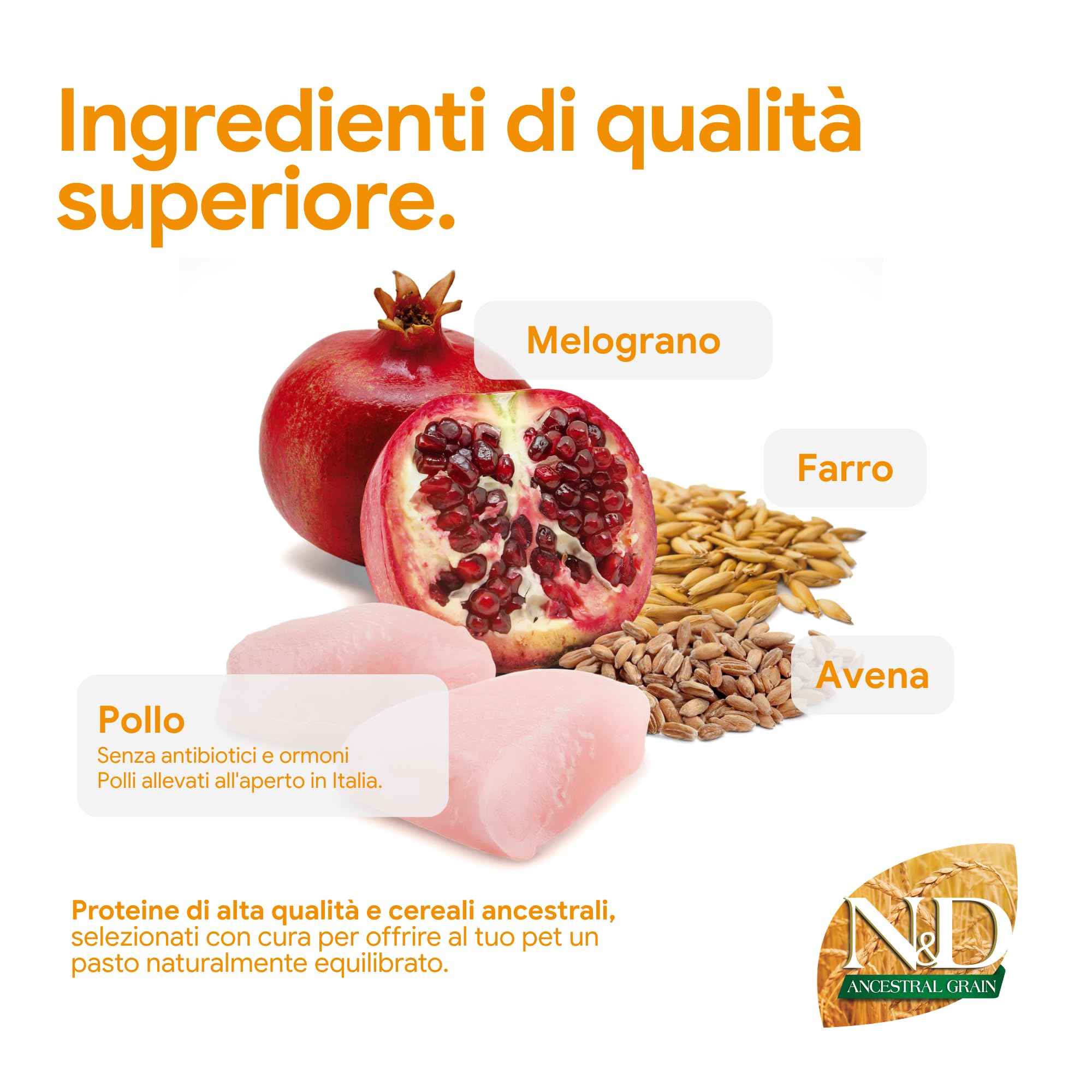 Farmina N&D Ancestral Grain Crocchette Gatto Pollo 300g