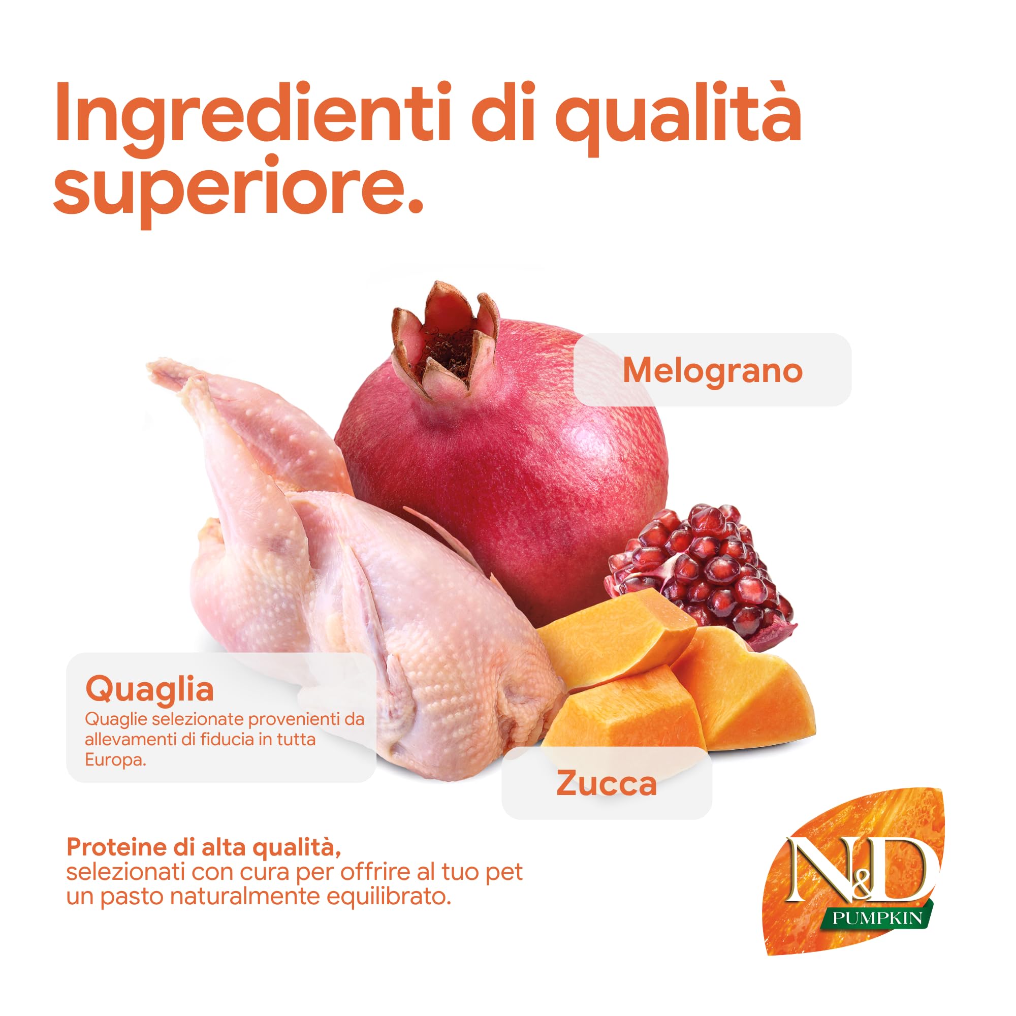 N&D Pumpkin Quail Melograno crocchette gatto adult 1,5kg