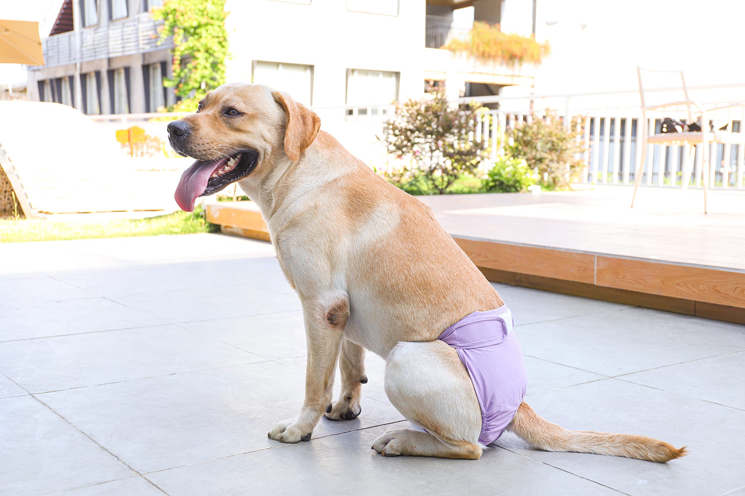 Bepetmia Pannolini lavabili cani femmine taglia S nero