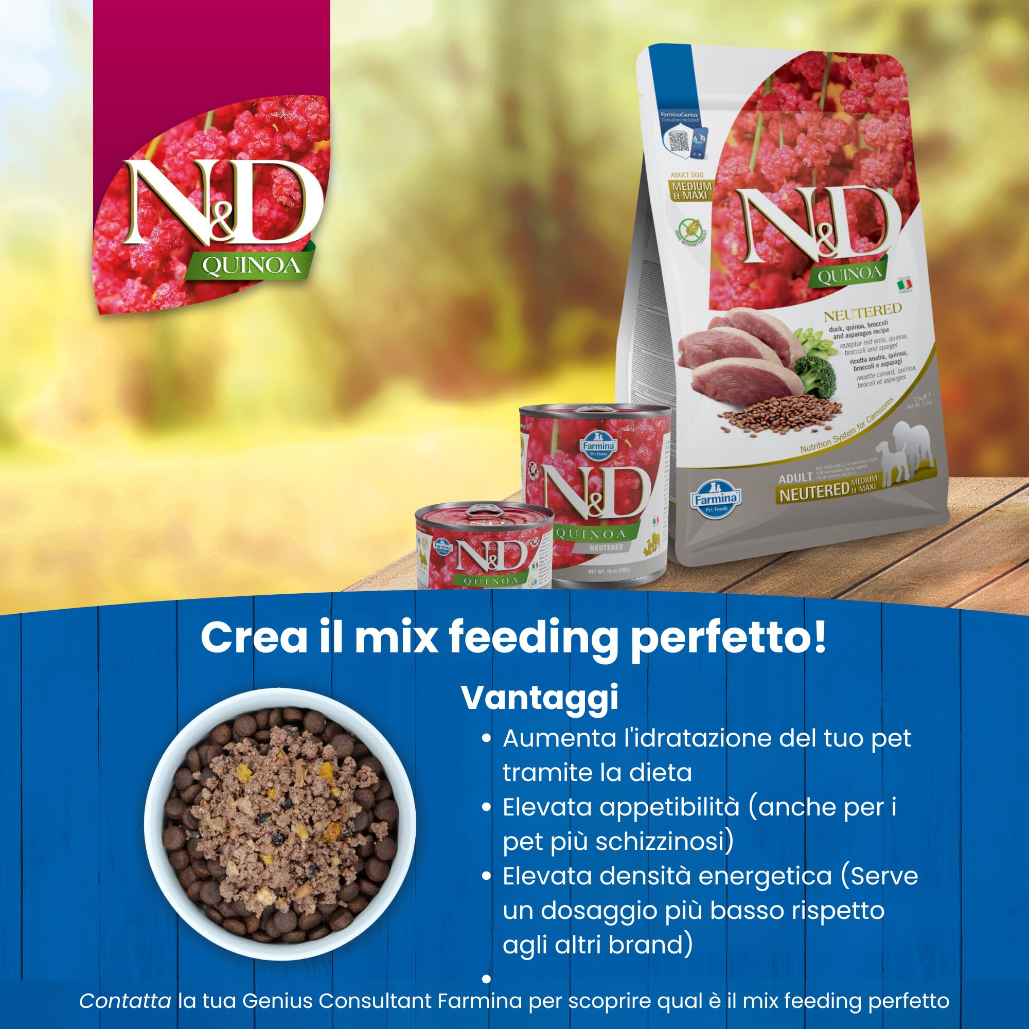 Farmina N&D Quinoa Pork Neutered Mini umido cane 6x140g