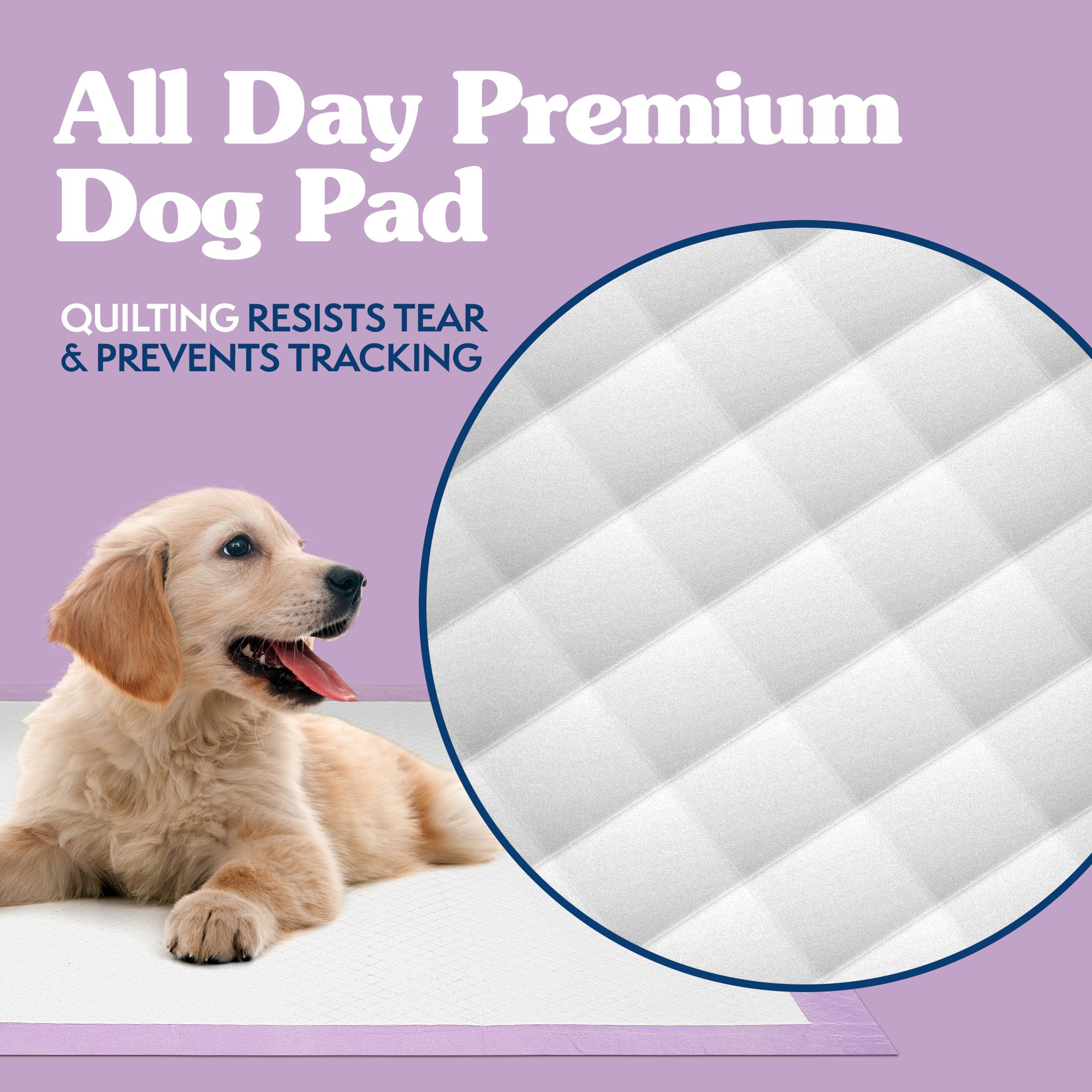 Simple Solution Disposable Pads All Day tappetini lavanda 50 pezzi