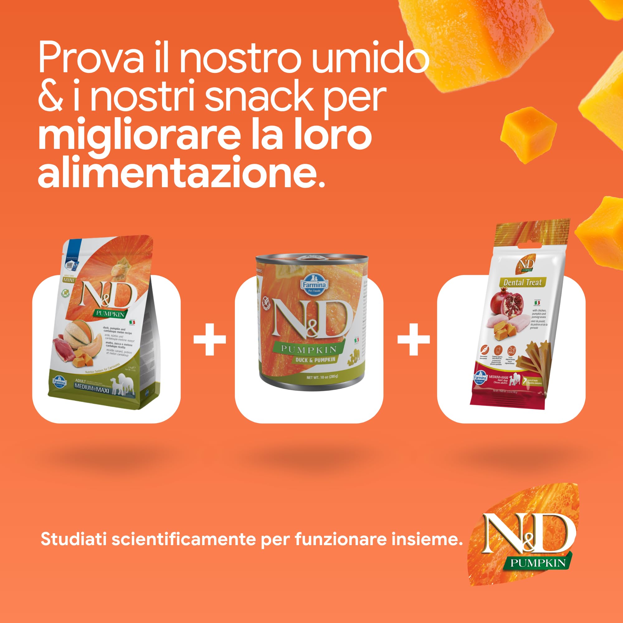 N&D Pumpkin Anatra Melone Medium Maxi crocchette 12kg