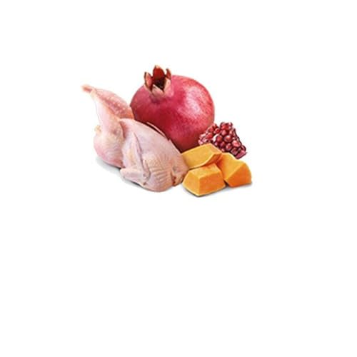 Farmina N&D Pumpkin Quaglia Zucca Cibo Cane 6x285 g