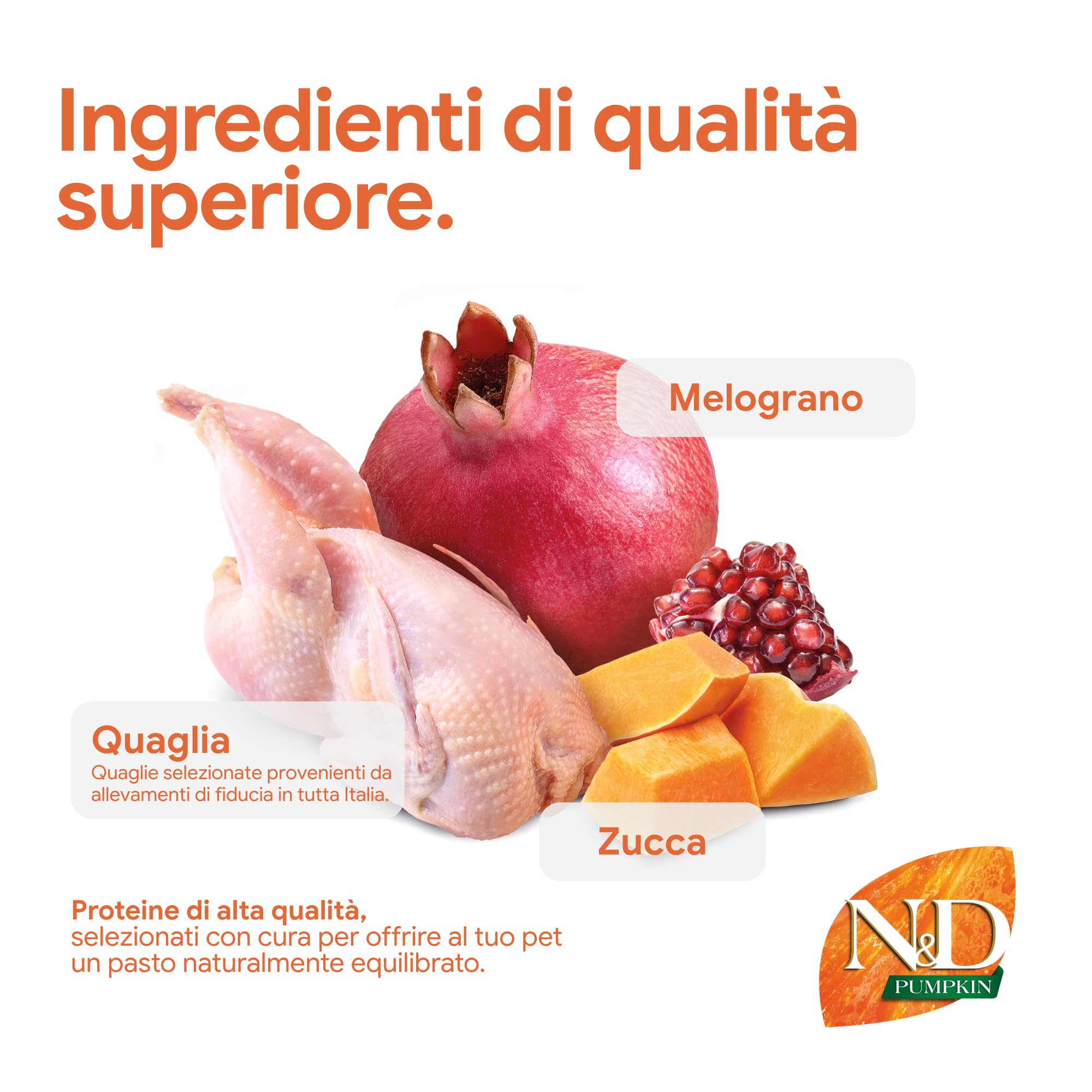 Farmina N&D Pumpkin quaglia melograno Medium Maxi 12 kg