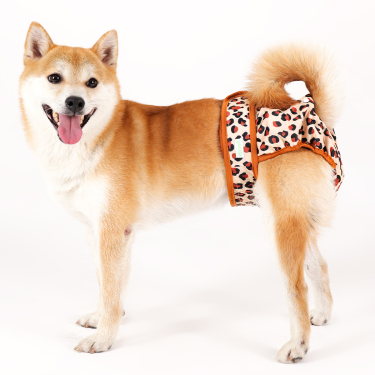 Wegreeco Dog Diapers pannolini cane femmina lavabili 3 pezzi