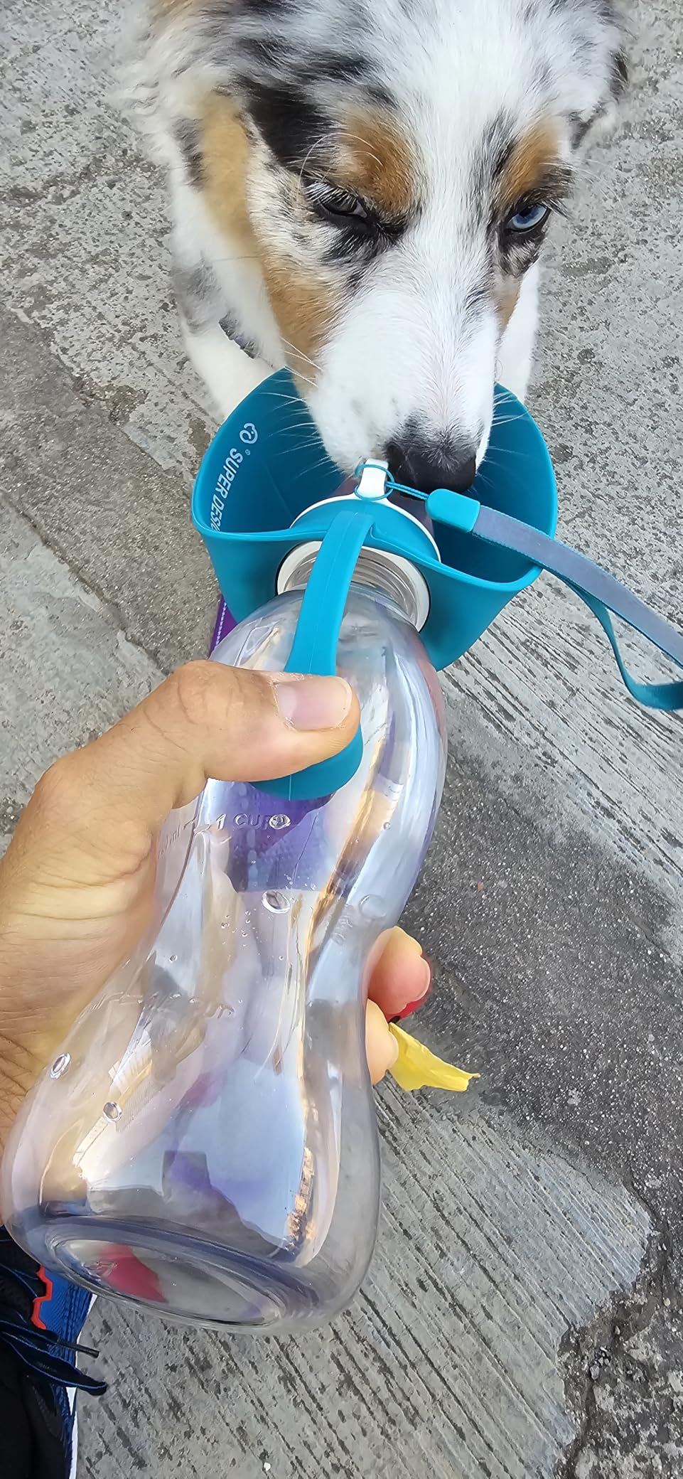 Bepetmia Borraccia viaggio cane blu silicone 580ml