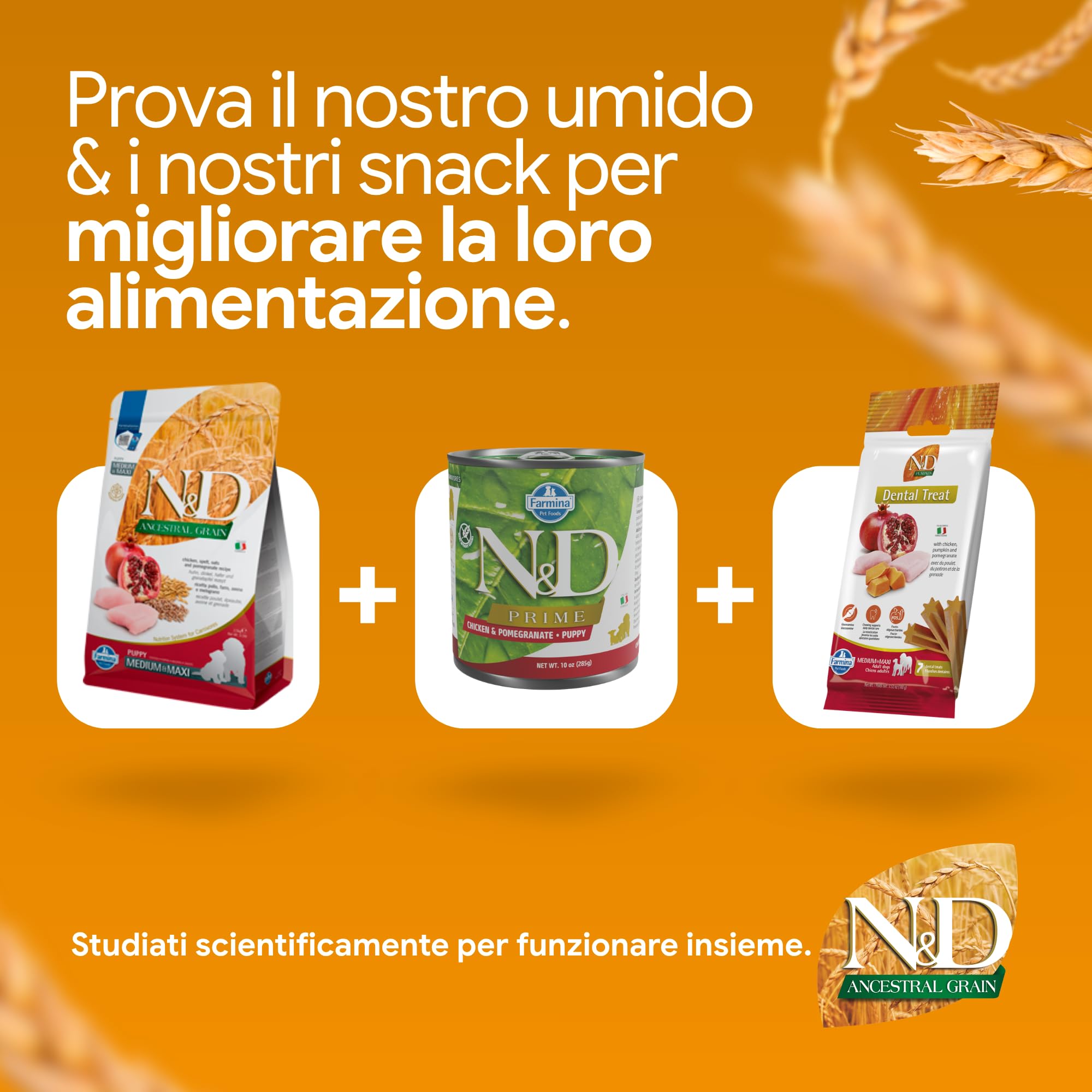 Farmina Ancestral Grain pollo melograno puppy medium 2,5 kg
