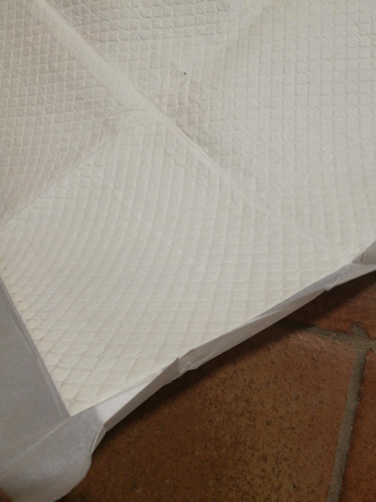 Inodorina Tappetini Igienici Cani 60x90cm 40 Pezzi Neutro