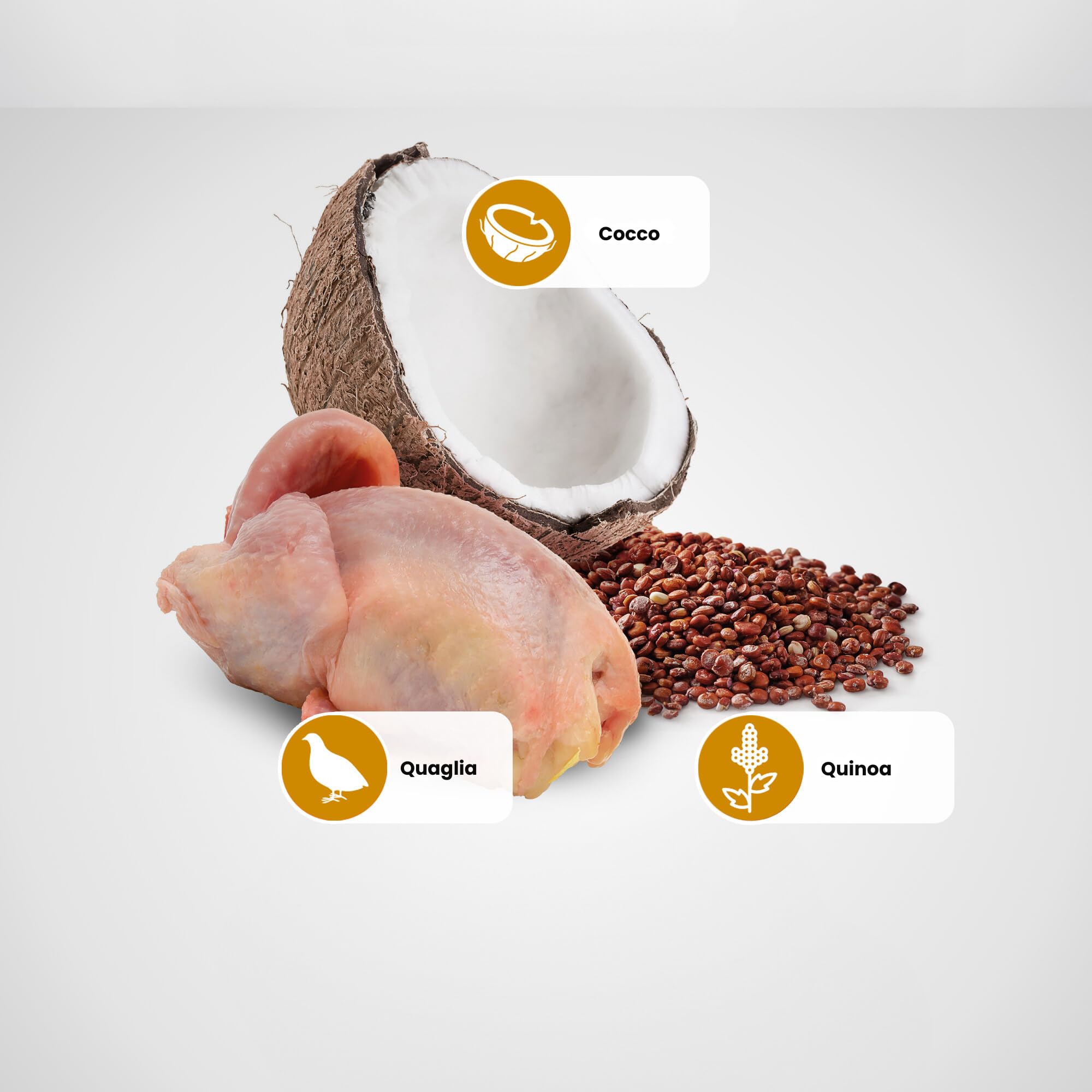 Farmina N&D Quinoa Quaglia Cocco Gatto Adulto