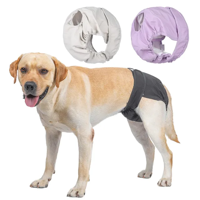 Bepetmia Pannolini lavabili cani femmine taglia S nero