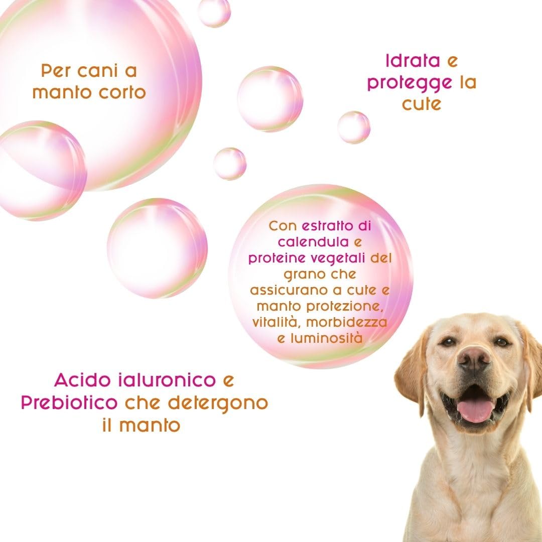 Inodorina Rituals Calendula Shampoo Cane 250 ml Pelo Corto