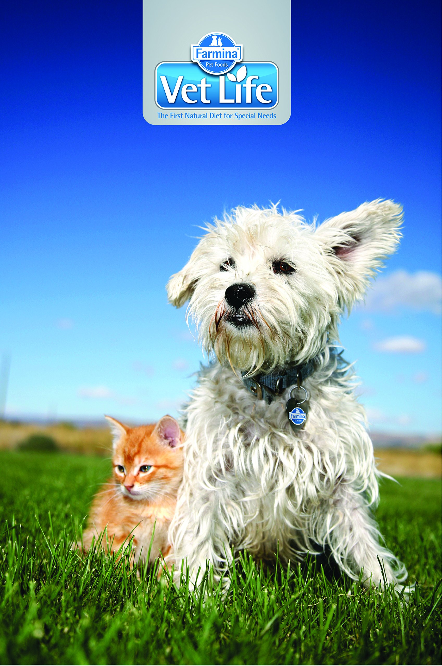 Farmina Vet Life Diabetic Crocchette Gatto 400 g