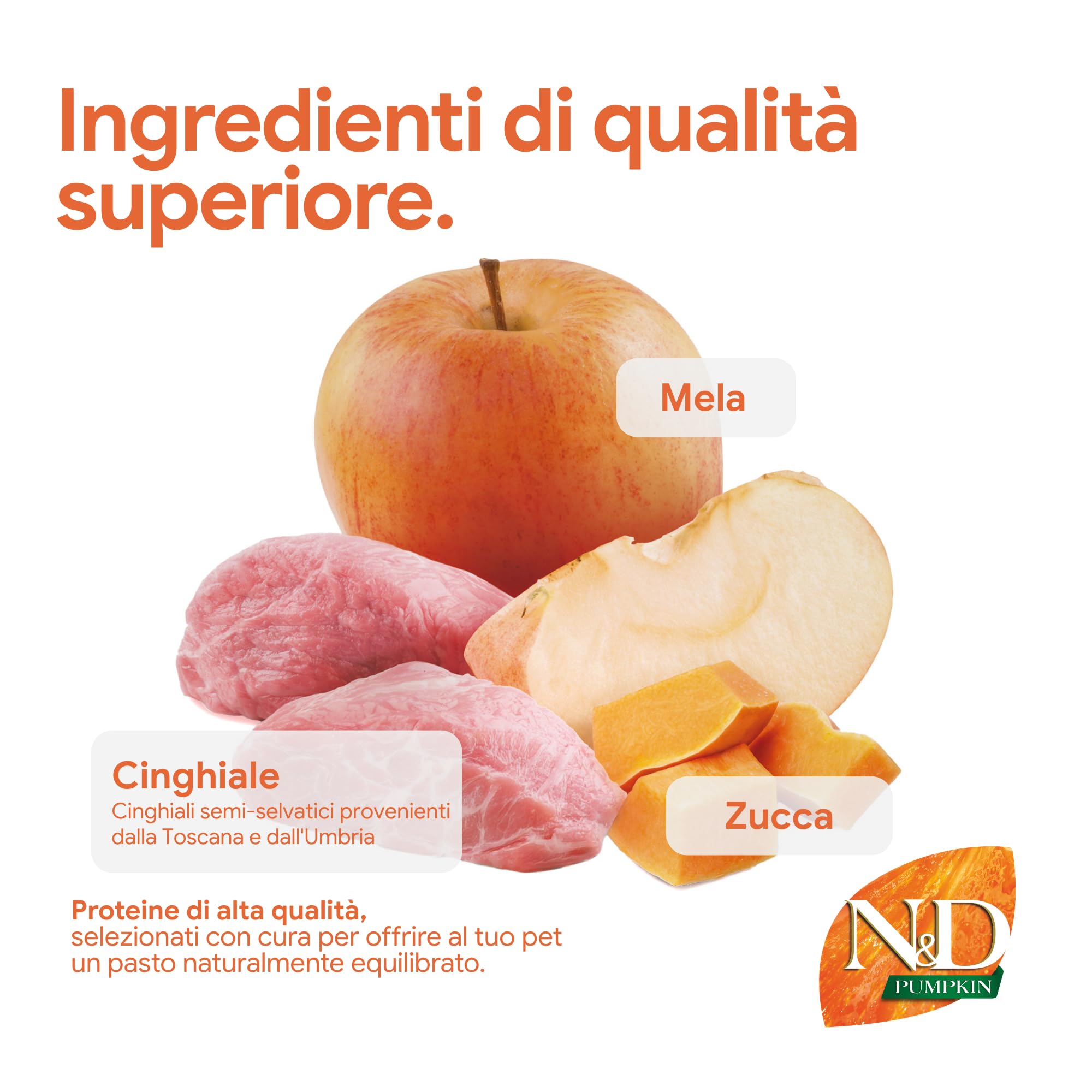 Farmina N&D Pumpkin cinghiale cane mini 7 kg mela zucca