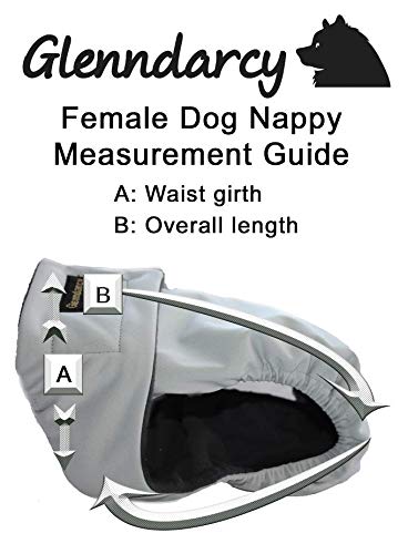 Glenndarcy No Tailhole mutandina cane Bulldog Francesi M Long