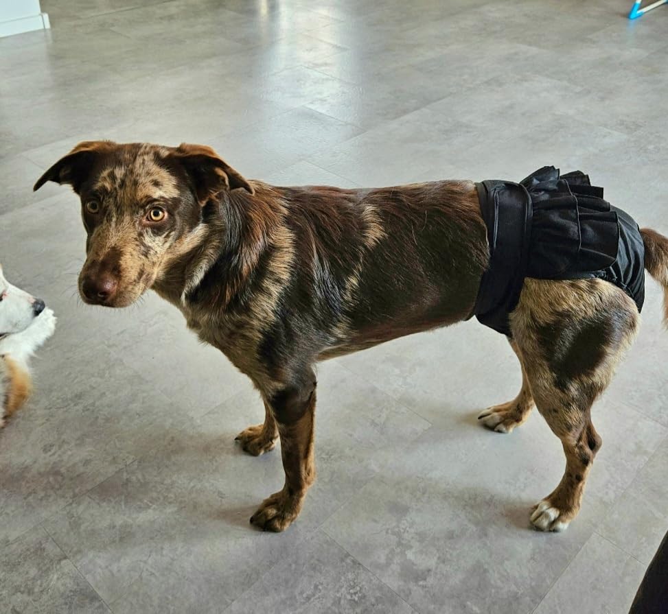 Bepetmia Pannolini lavabili per cani mutandine rosa M 40-50 cm