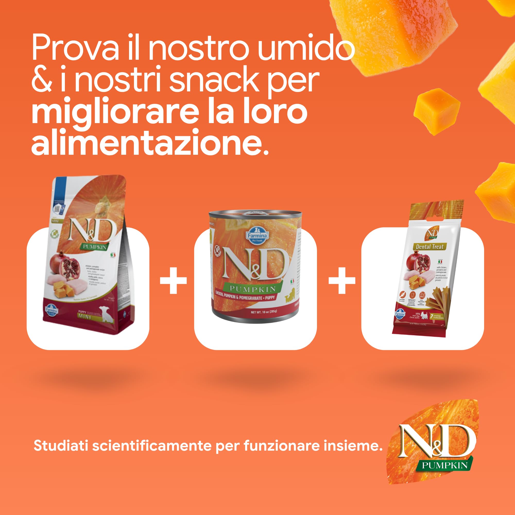 Farmina N&D Pumpkin pollo puppy mini 800 gr zucca melograno
