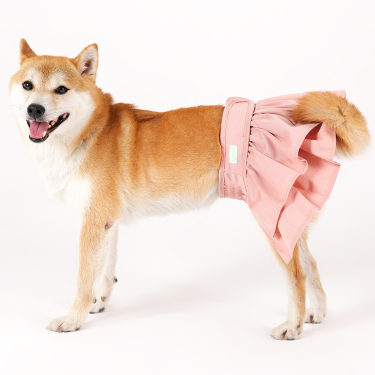 Wegreeco Dog Diapers Mutandine Cane Femmina 3 Pezzi