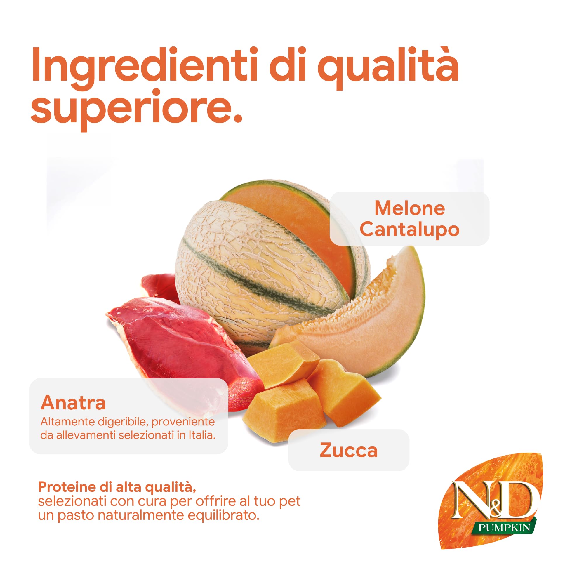 N&D Pumpkin Anatra Melone Medium Maxi crocchette 12kg