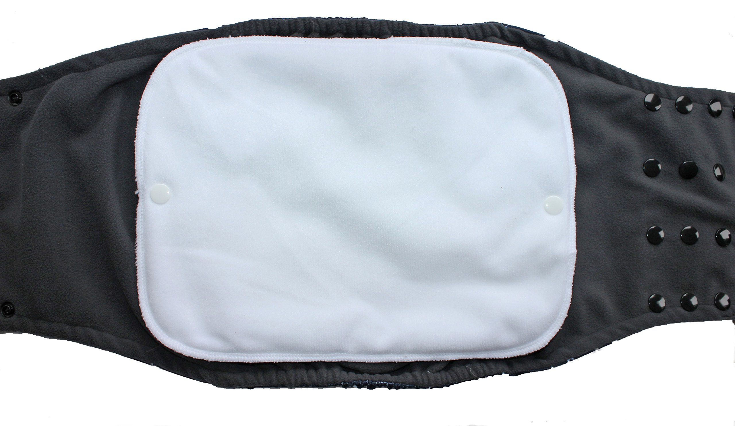 Glenndarcy Poppers Belly Band cane maschio Coffee XXL impermeabile