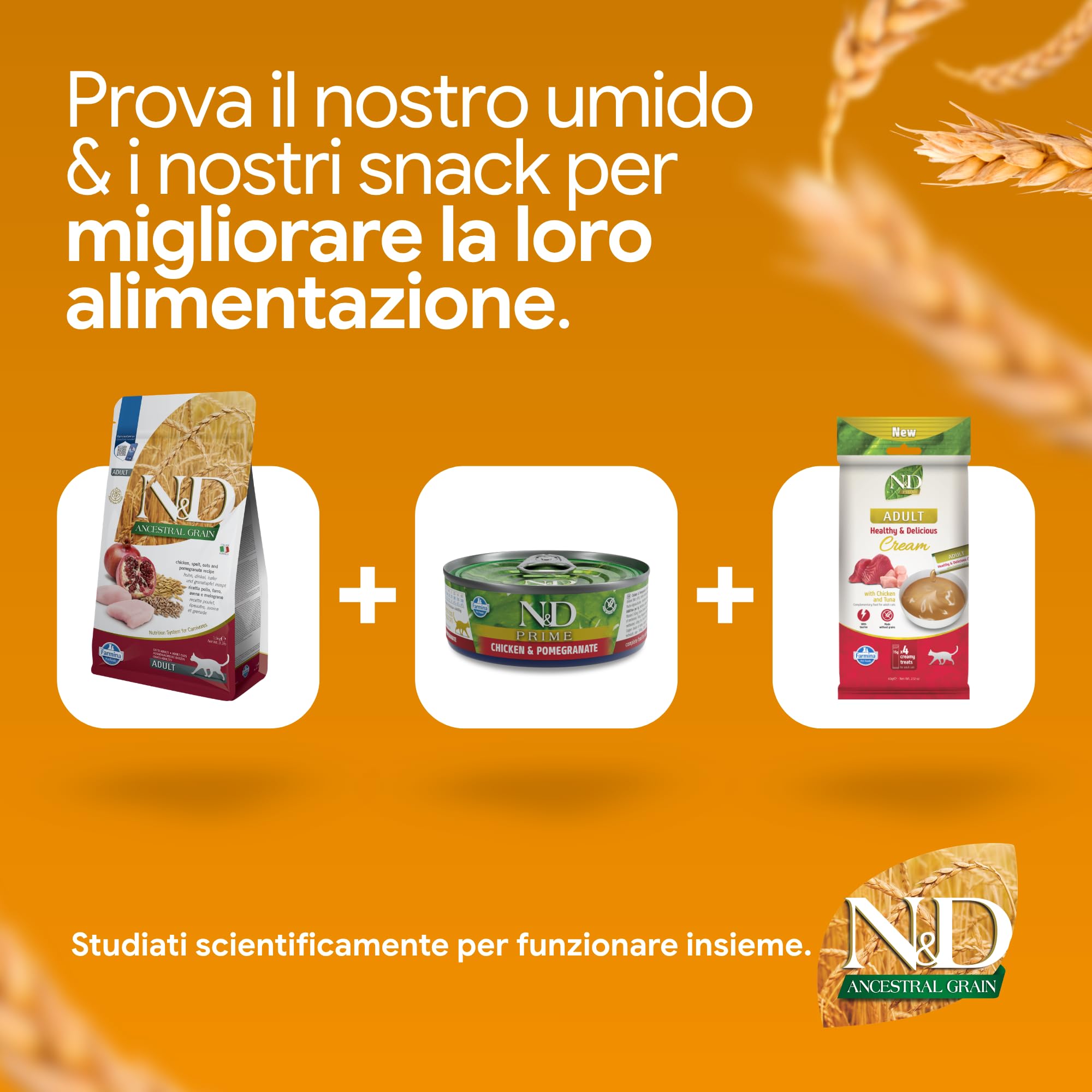 Farmina N&D Ancestral Grain Crocchette Gatto 1,5 kg Pollo Adult