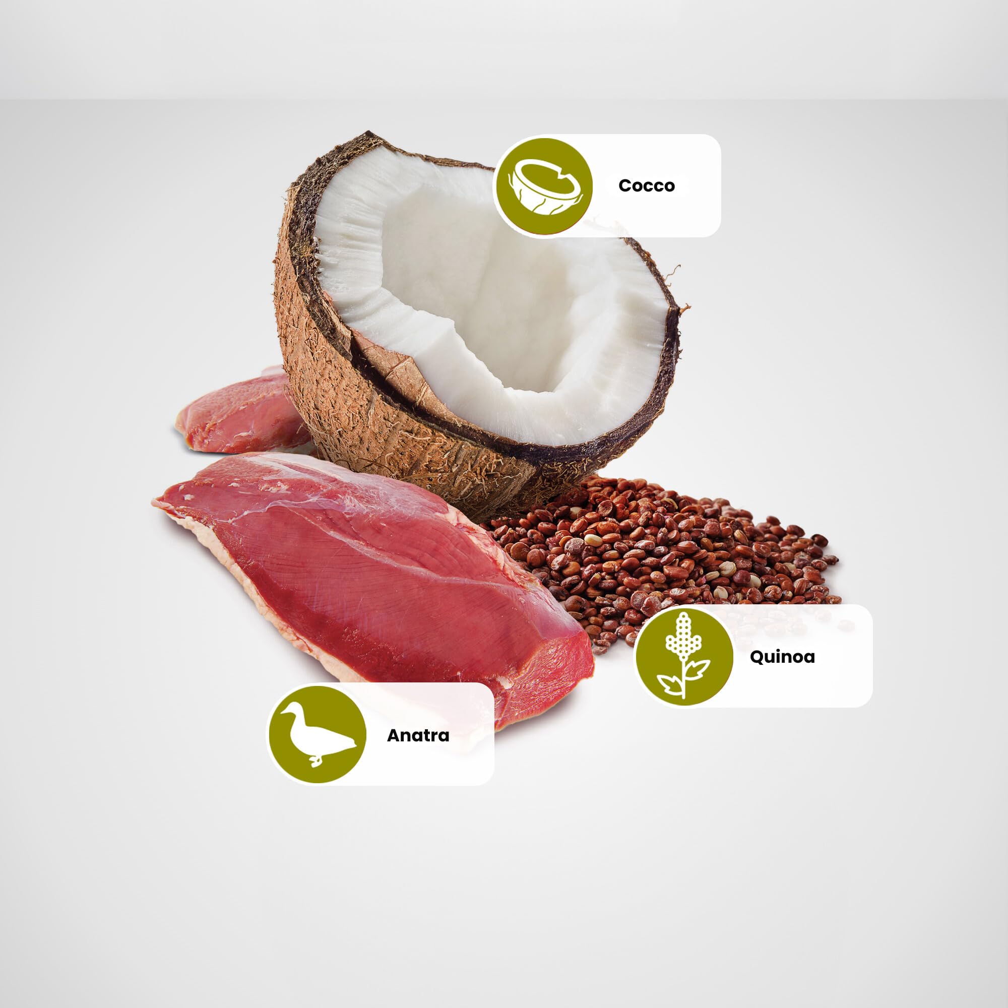 Farmina N&D Quinoa Skin&Coat cibo umido cane anatra 285 g