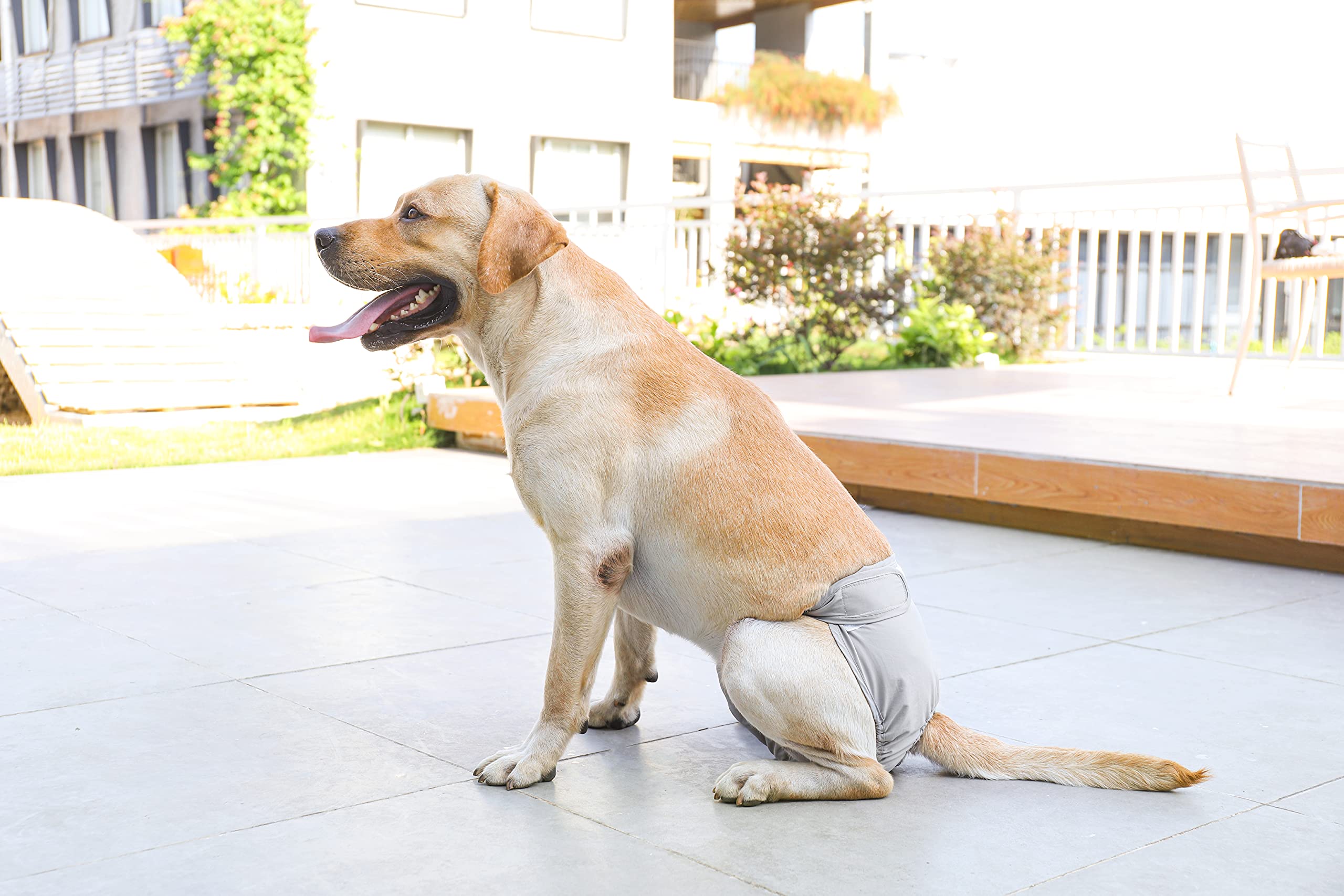 Bepetmia Pannolini lavabili cani femmine taglia S nero