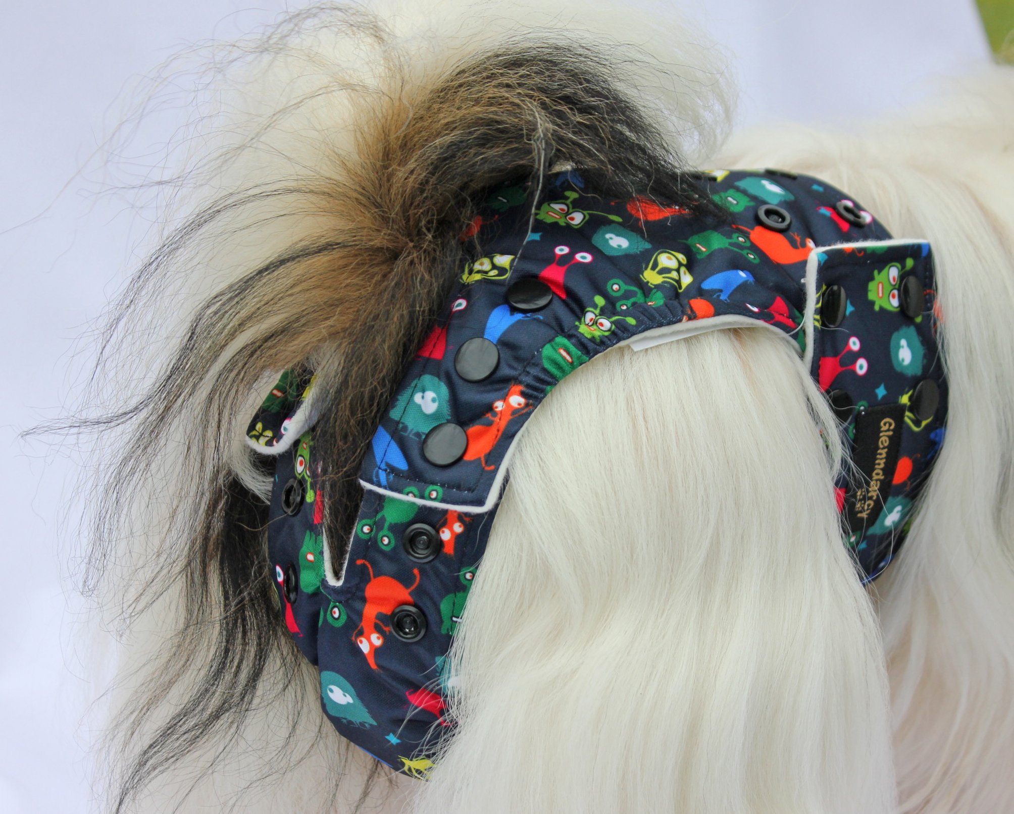 Glenndarcy Adjustable Male Dog Pants pannolino cane L coffee