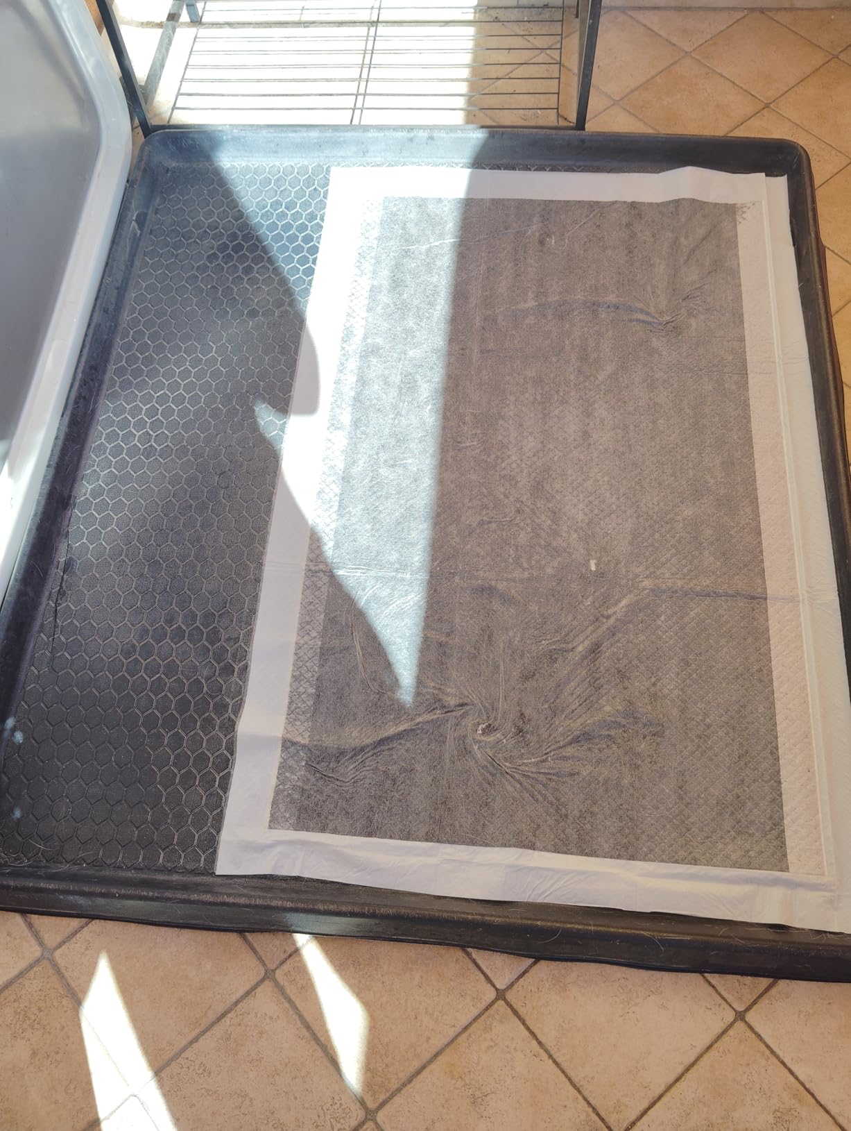 Inodorina Tappetini Igienici Cane 60x90 40 Pezzi Carbone