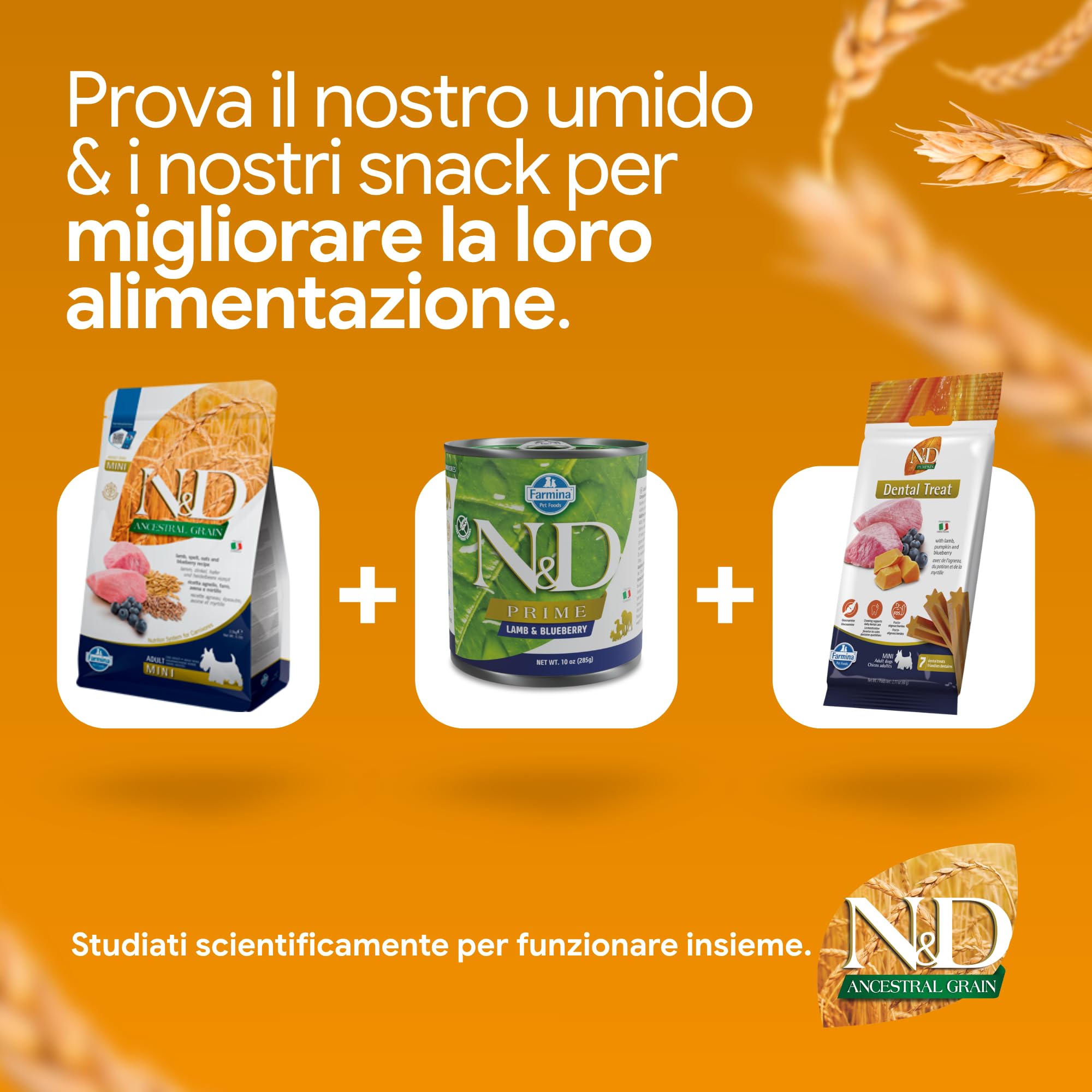 Farmina Ancestral Grain Crocchette Cane Agnello Mirtillo 800g