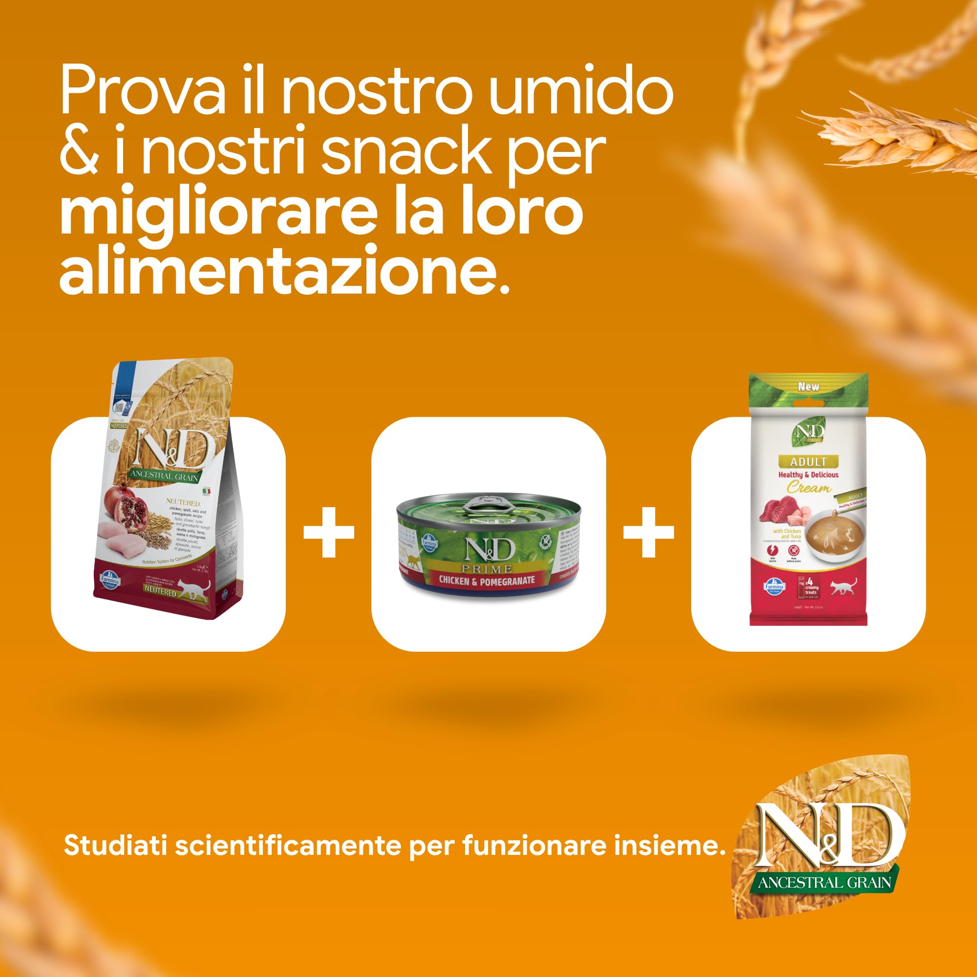 Farmina N&D Ancestral Grain Crocchette Gatto Pollo 300g