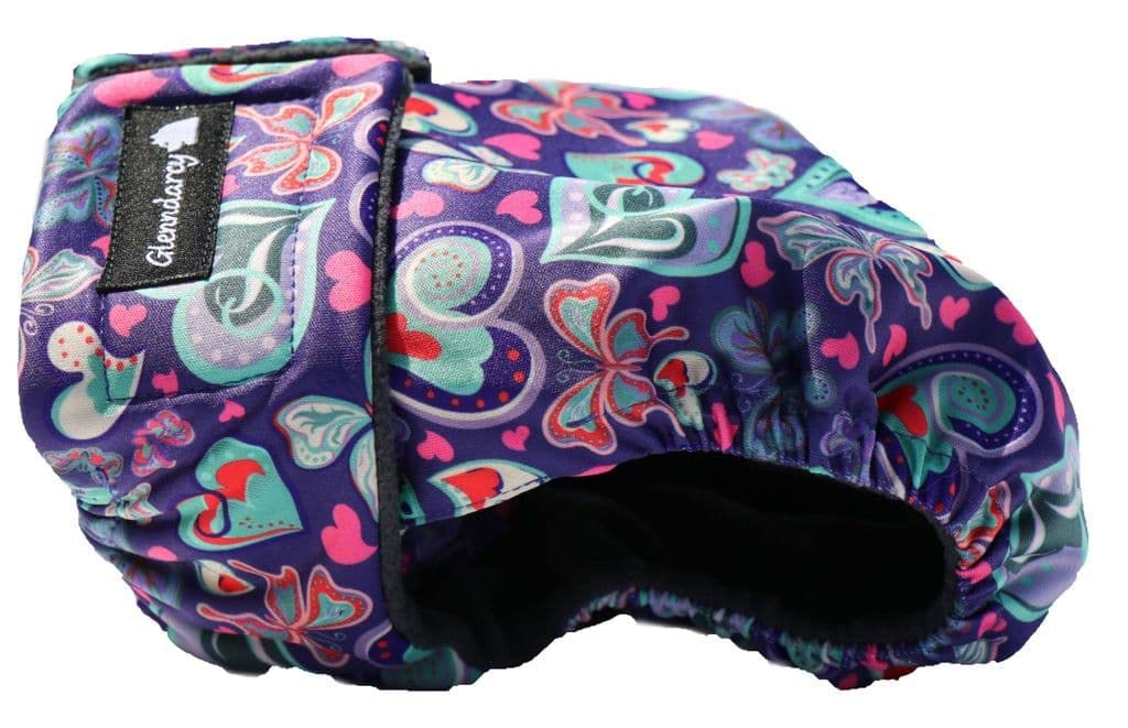 Glenndarcy No Tailhole mutandina cane Bulldog Francesi M Long