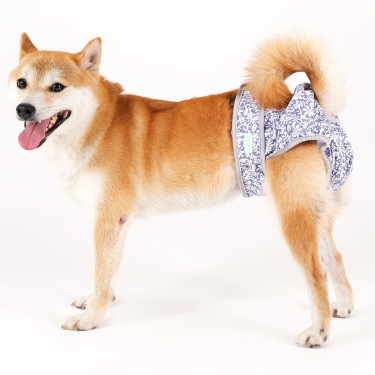 Wegreeco Dog Diapers pannolini cane femmina lavabili 3 pezzi