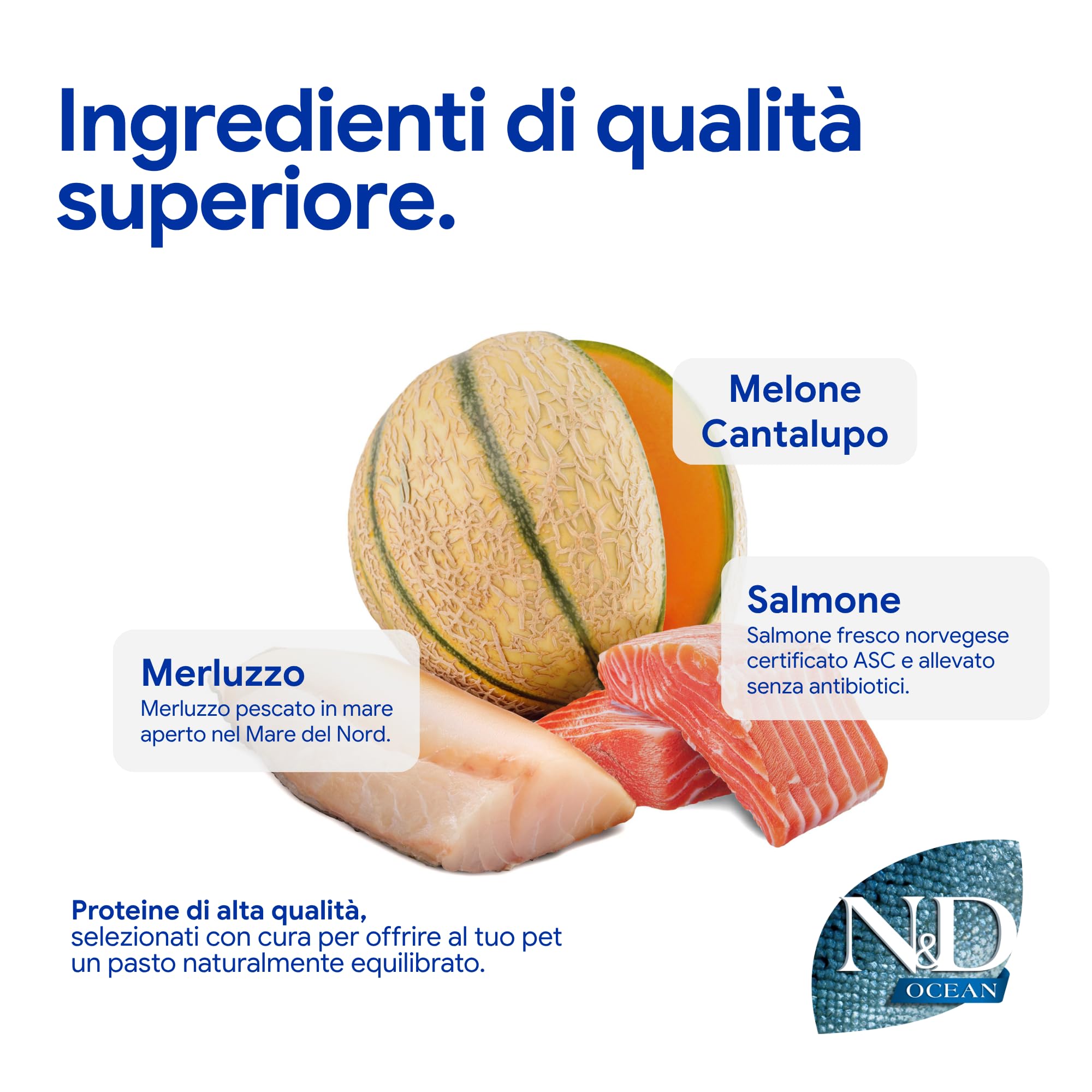 Farmina N&D Ocean Salmone Cane Mini 800 g