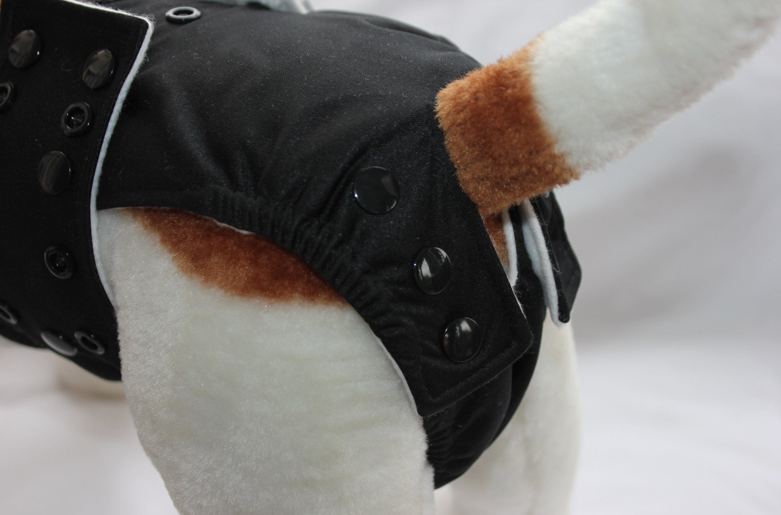 Glenndarcy Adjustable Male Dog Pants pannolino cane L coffee