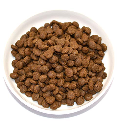 Farmina N&D Pumpkin crocchette gatto aringa zucca 300 g