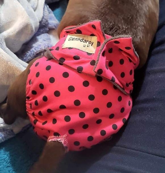 Glenndarcy Dog Season Nappy pannolino cane femmina Patchwork