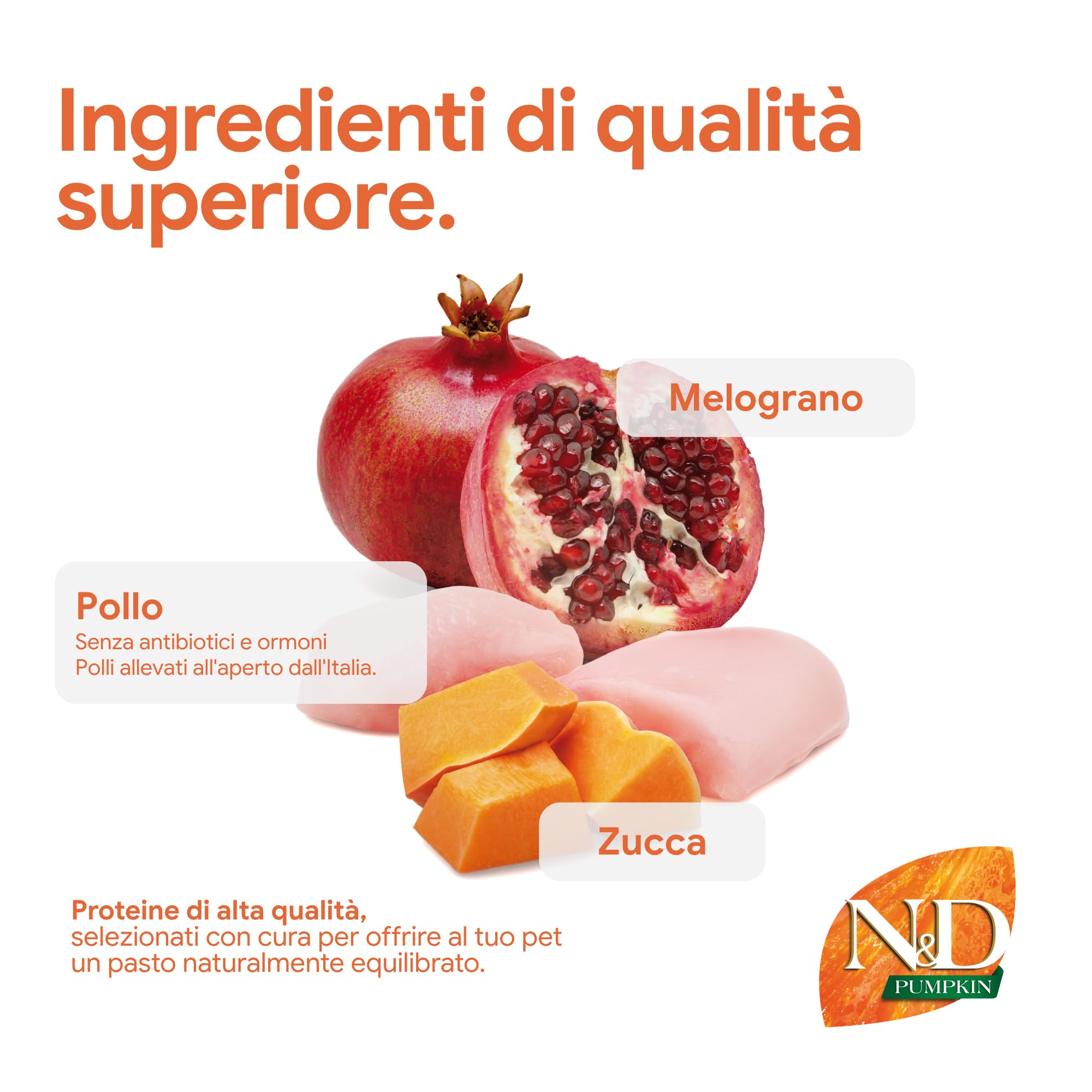 Farmina N&D Pumpkin pollo puppy mini 800 gr zucca melograno