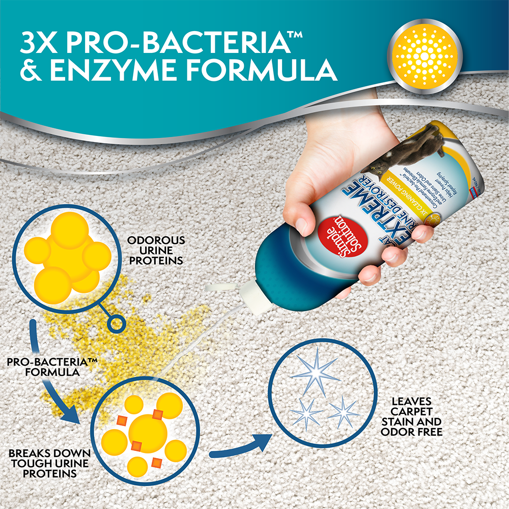 Simple Solution Heavy Duty Removal detergente urina gatto forte