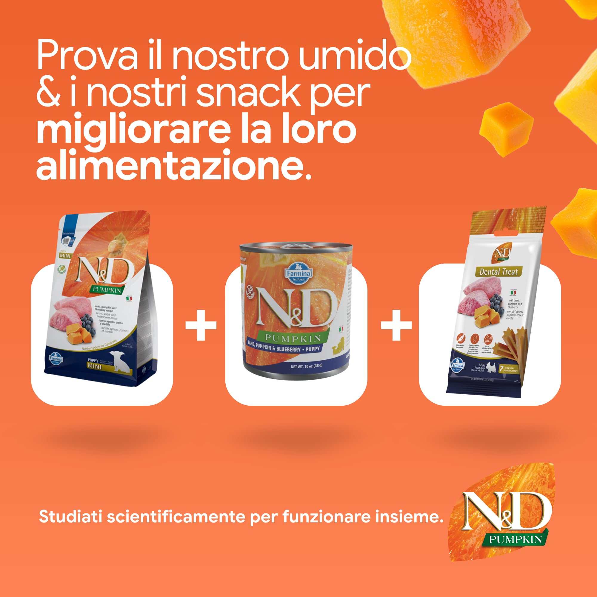 Farmina N&D Pumpkin Agnello Mirtilli Crocchette Puppy Mini 800 g