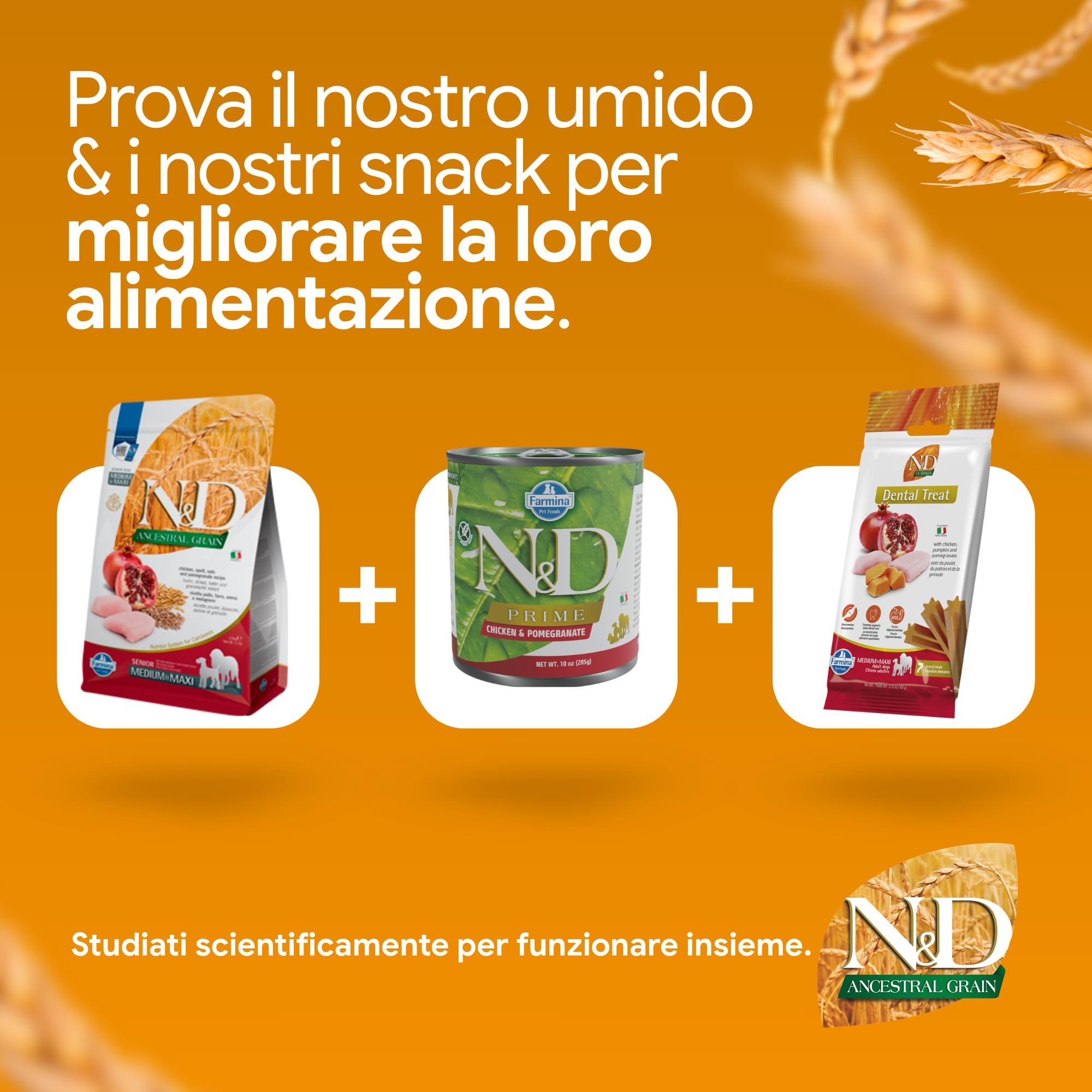 Farmina N&D Ancestral Grain Pollo crocchette cane Senior Mini 2,5kg