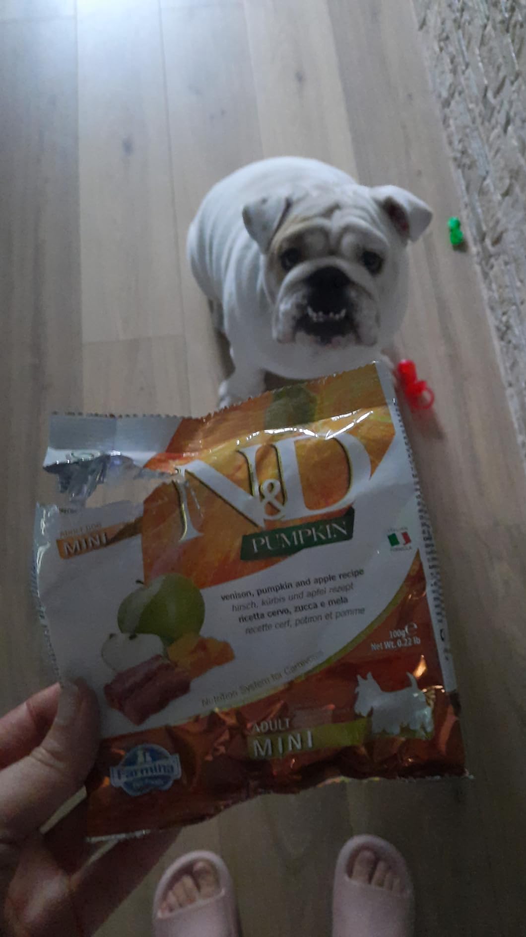 Farmina N&D Pumpkin Cervo Mela crocchette cane Adult Mini 2kg