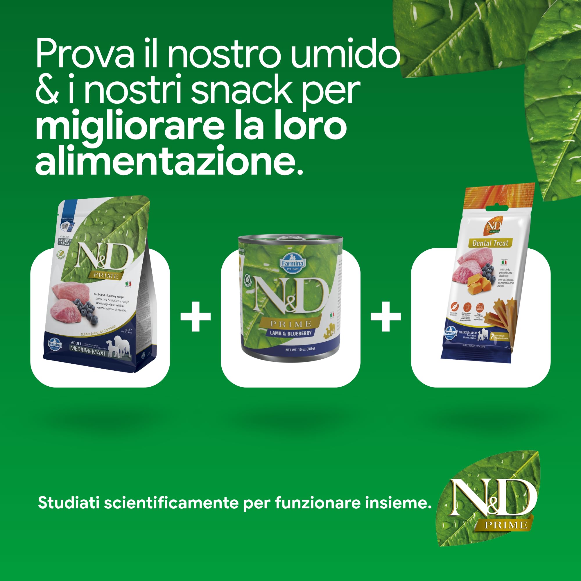 N&D Prime Agnello Mirtillo Medium Maxi crocchette 2,5kg