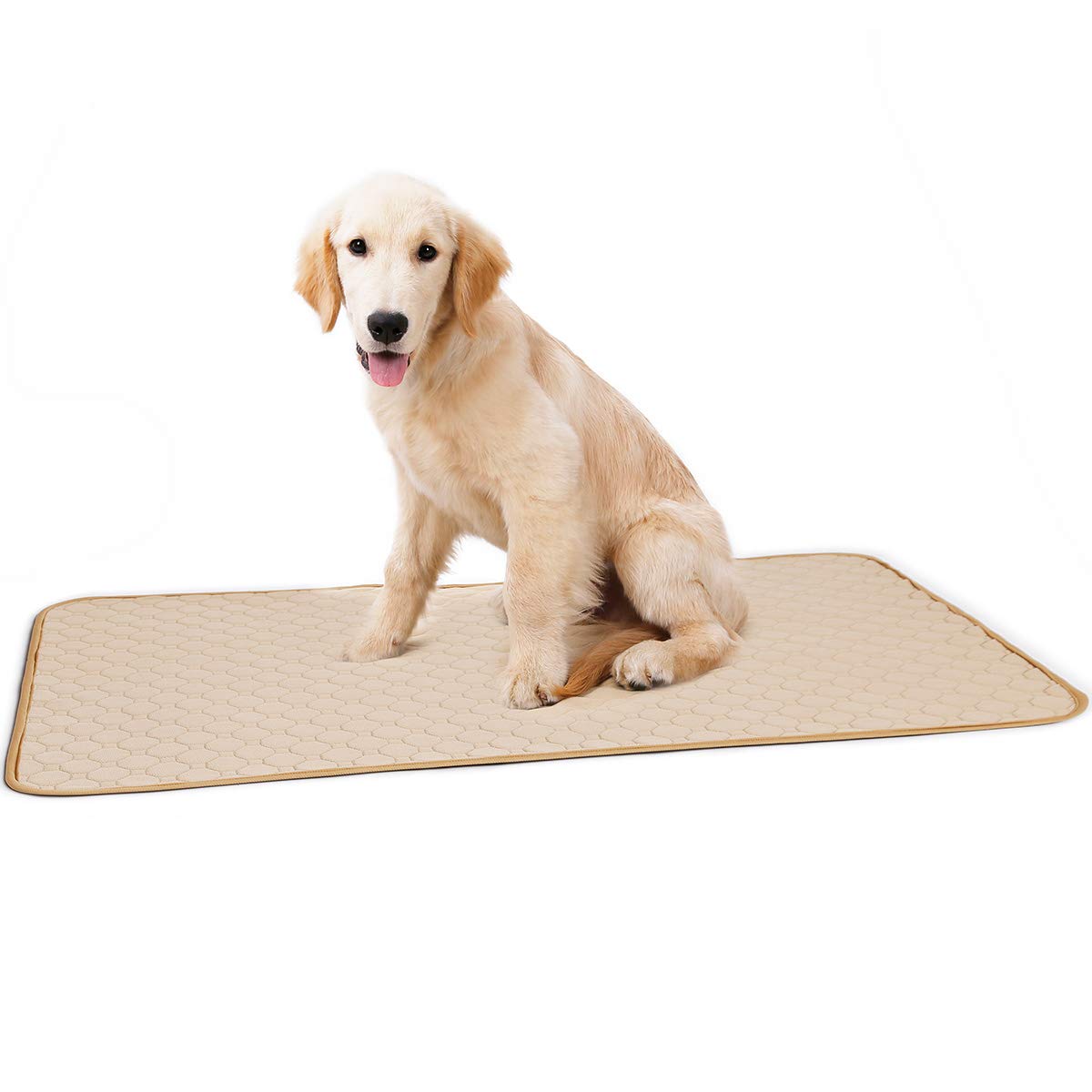 Bepetmia Tappetini Lavabili Pee Pad Cane S 60x45 Grigio Assorbente