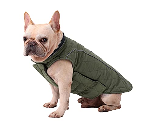 Bepetmia Giubbotto Invernale Cane Verde S Torace 40-52cm