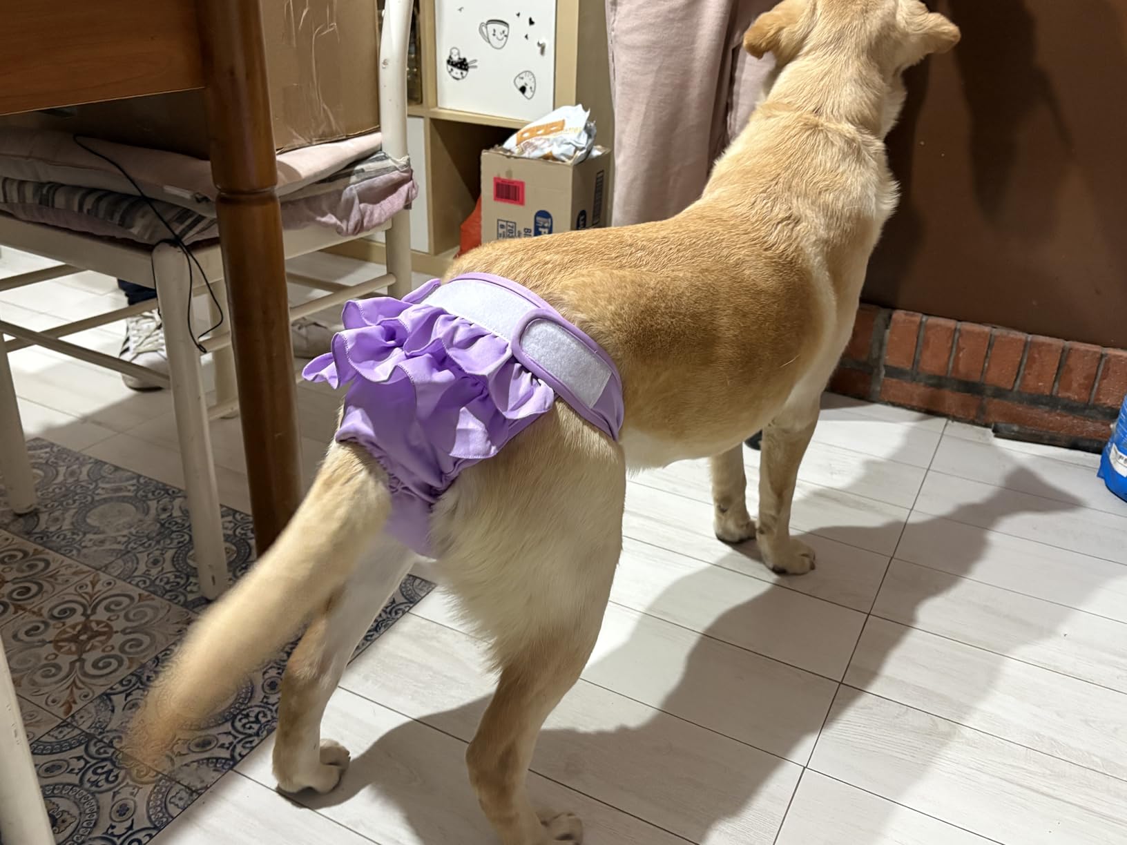 Bepetmia Pannolini lavabili per cani mutandine rosa M 40-50 cm