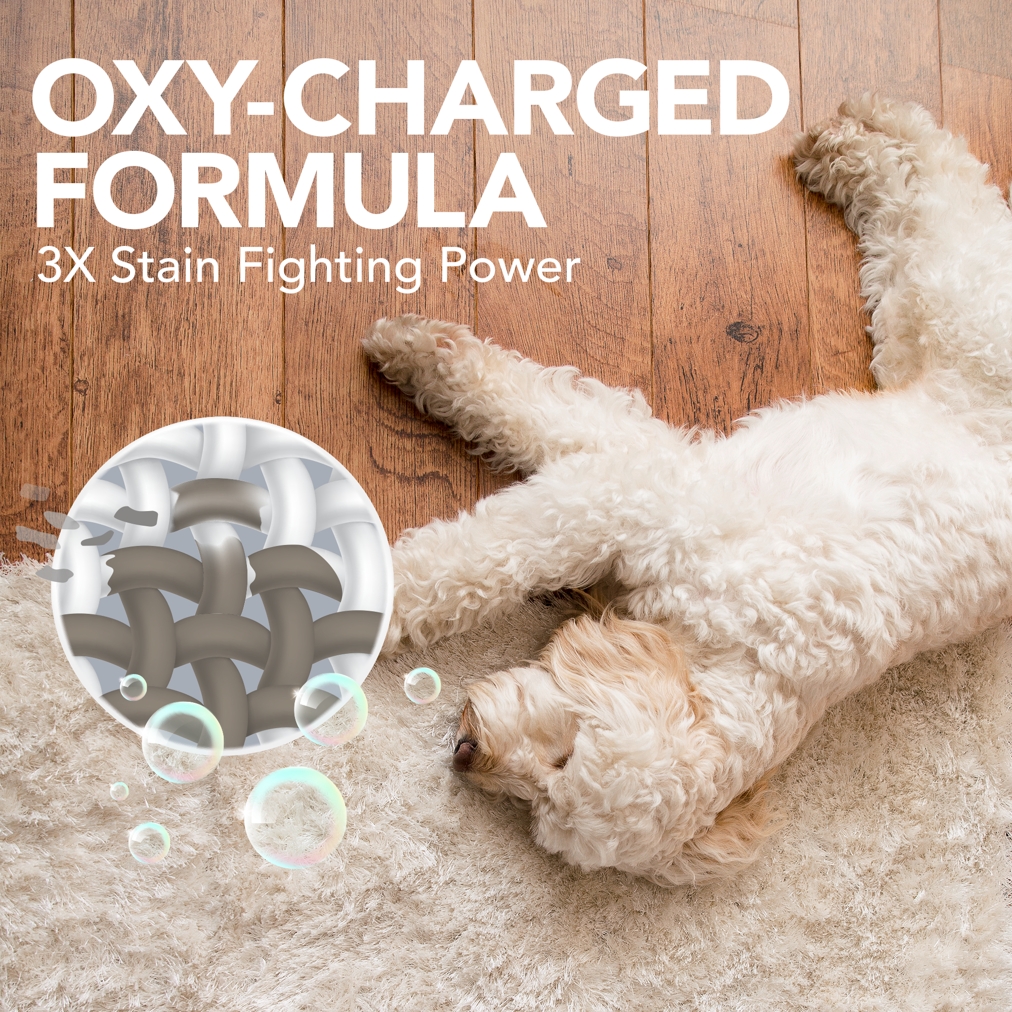 Simple Solution Heavy Duty Oxy Charged smacchiatore urina cani gatti